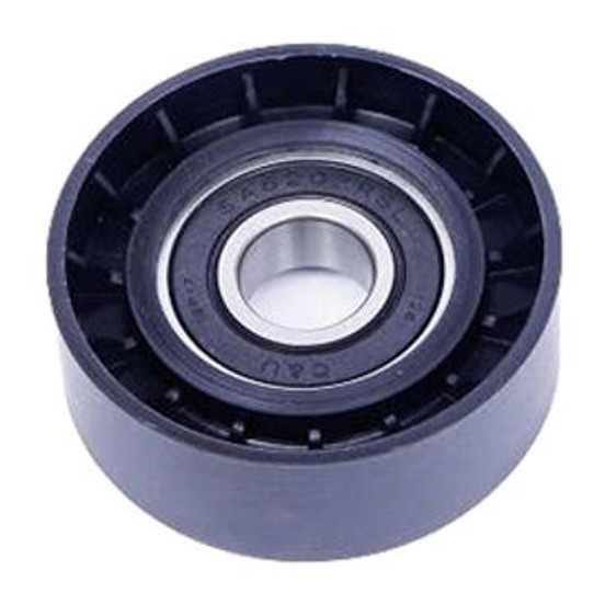Polia do Alternador - Dayco - APV2924