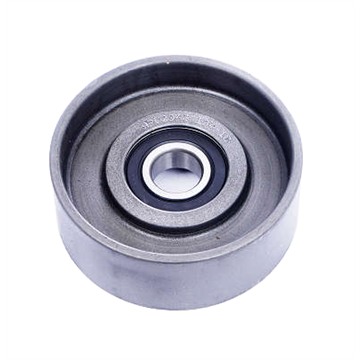 Polia do Alternador - Dayco - APV2943