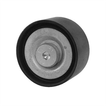 Polia de Acessórios - Dayco - APV1112