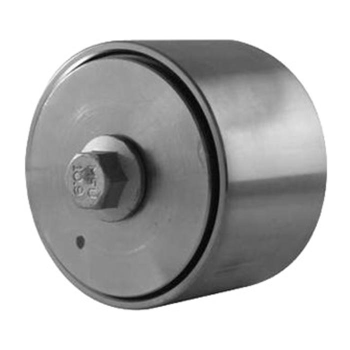 Polia de Acessórios - Dayco - APV1060