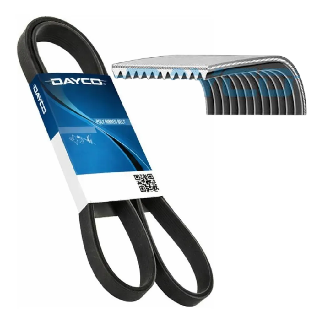 Correia Poly-V 12PK - Dayco - 12PK1830HD