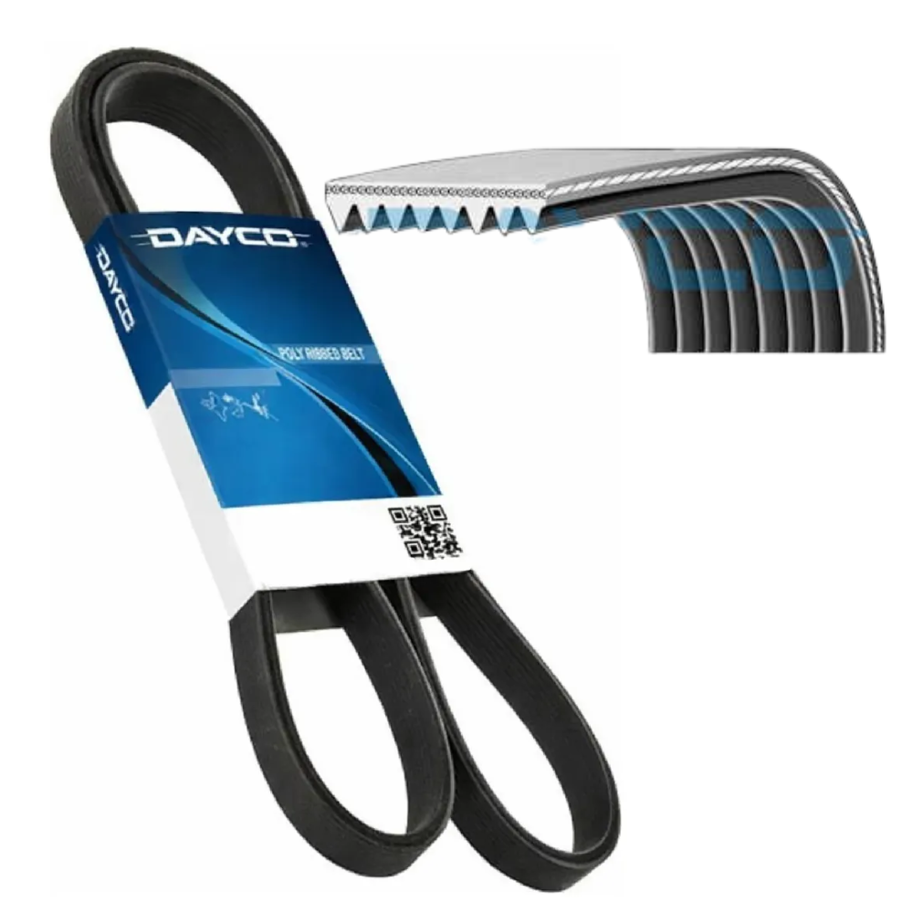 Correia Poly-V 8PK - Dayco - 8PK950HD