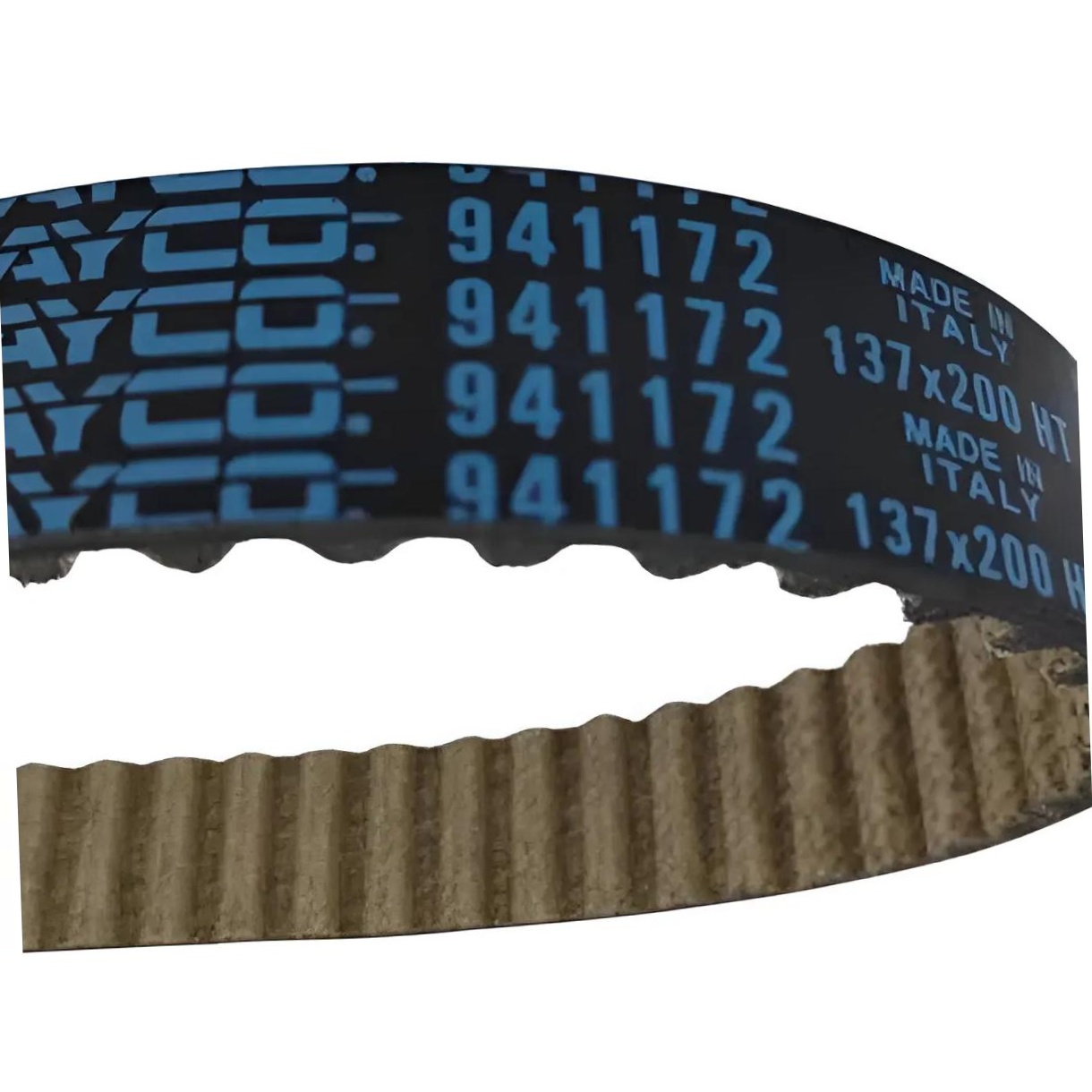Correia Dentada (Belt in Oil - Óleo) - Dayco - 137STP200HT1