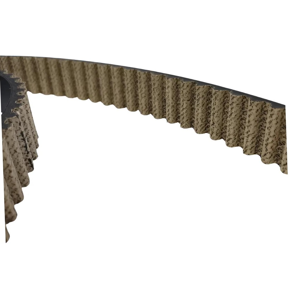 Correia Dentada (Belt in Oil - Óleo) - Dayco - 137STP200HT1