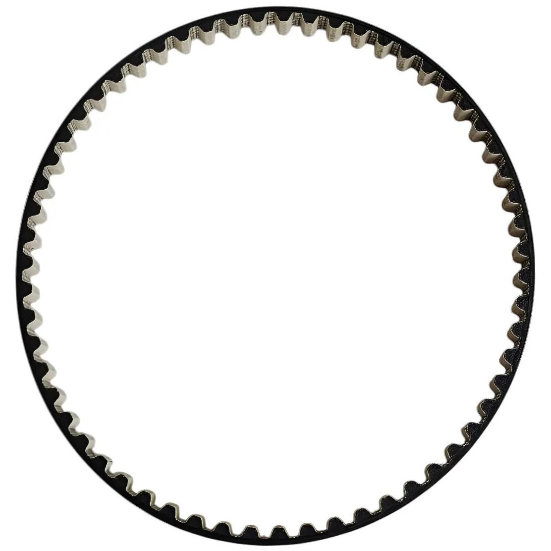 Correia Dentada (Belt in Oil - Óleo) - Dayco - 059STP100HT