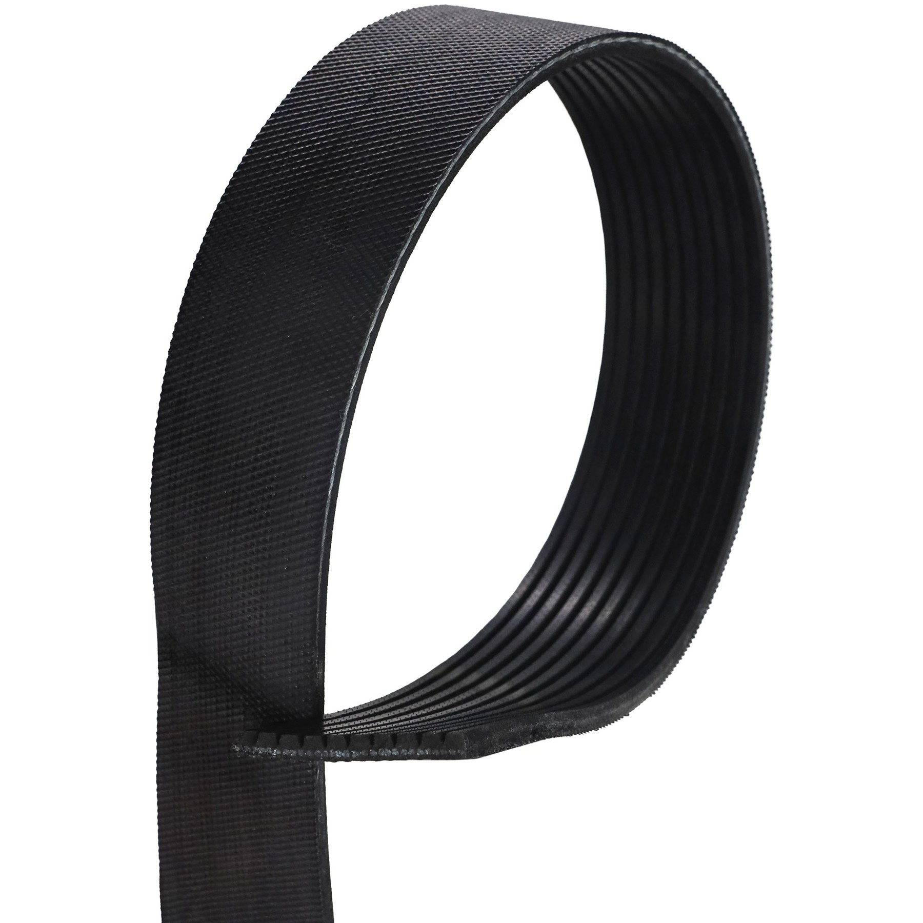 Correia Poly-V 10PK 1725mm - Gates - 10PK1725HD