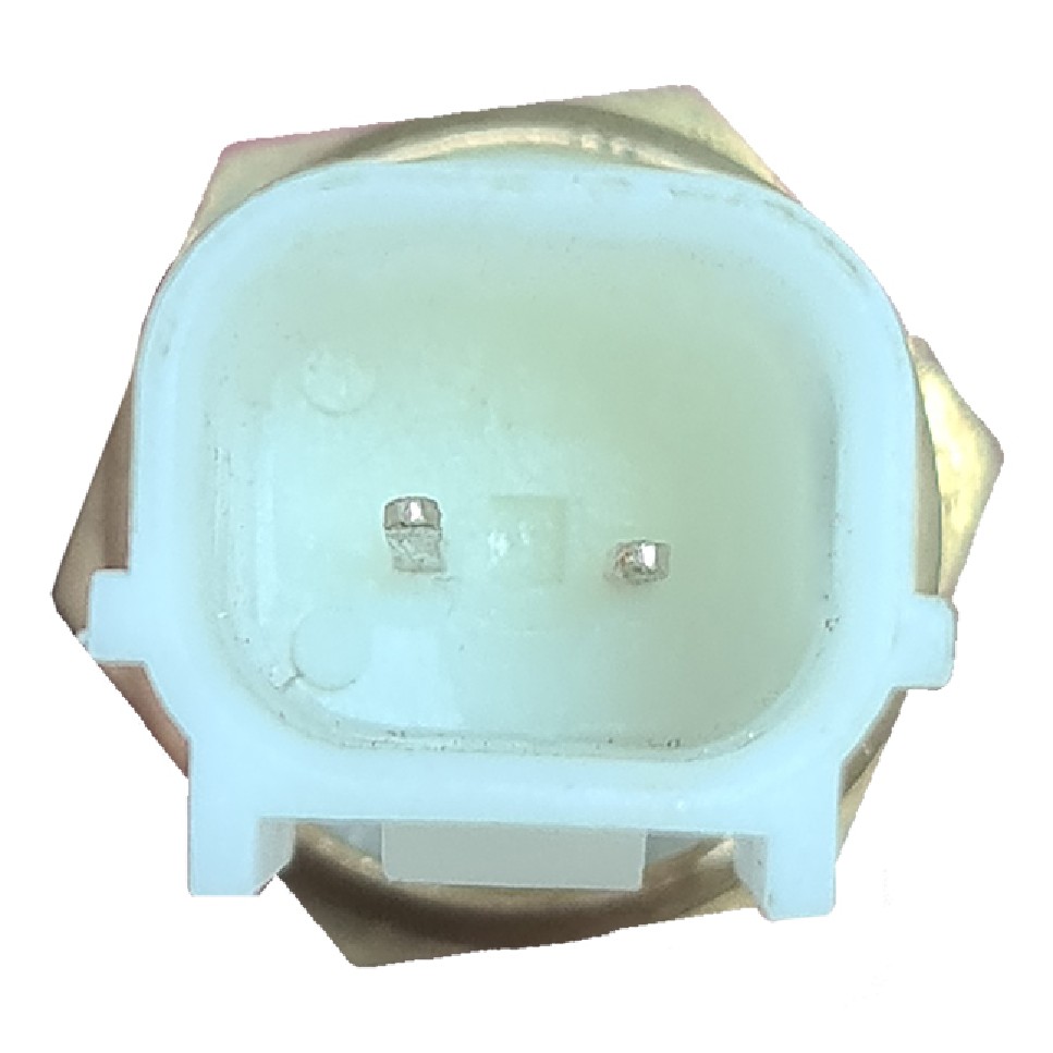 Sensor de Temperatura da Água - Gauss - GI10014