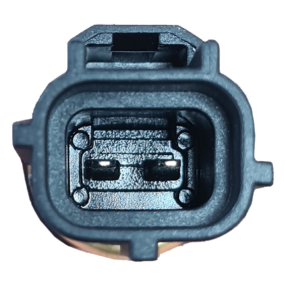 Sensor de Temperatura da Água - Gauss - GI10030