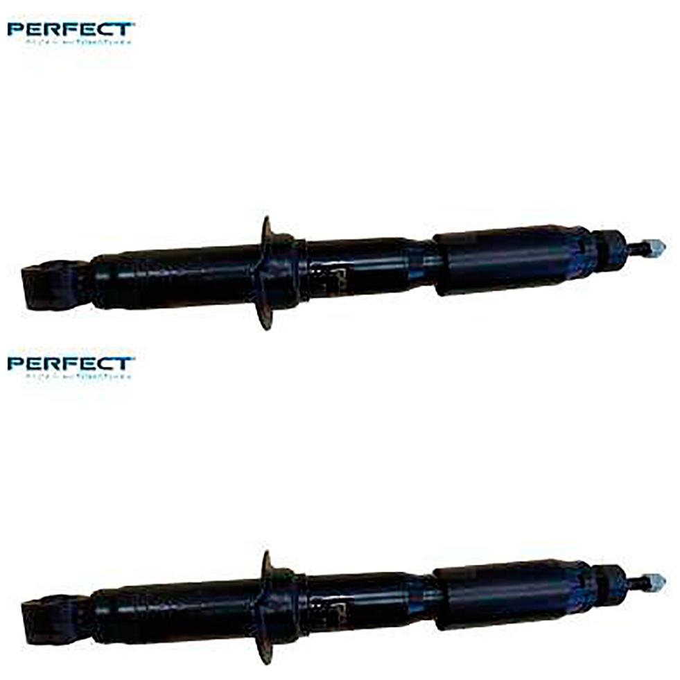 Par de Amortecedor Dianteiro da Suspensão - Perfect - AMD6513
