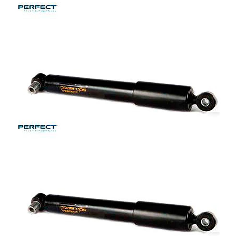 Par de Amortecedor Dianteiro da Suspensão - Perfect - AMD12845
