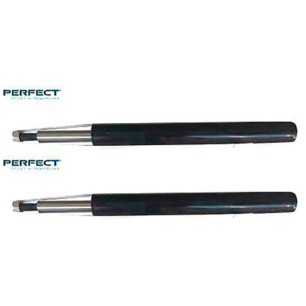 Par de Amortecedor Dianteiro da Suspensão - Perfect - AMD32113