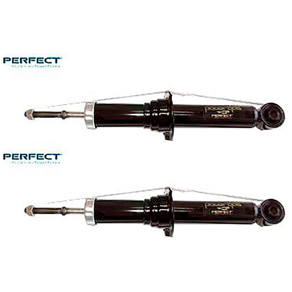 Par de Amortecedor Dianteiro da Suspensão - Perfect - AMD91222