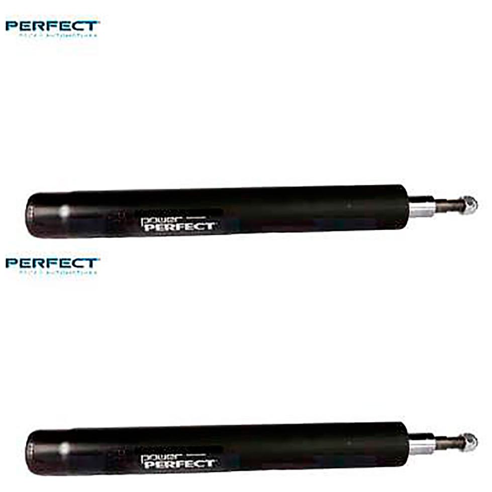 Par de Amortecedor Dianteiro da Suspensão - Perfect - AMD32176