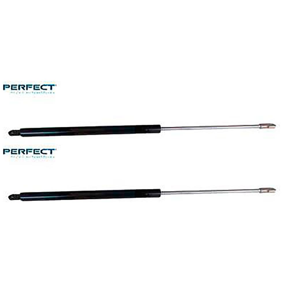 Par de Amortecedor Mola a Gás Traseiro da Tampa Traseira - Perfect - APM41161