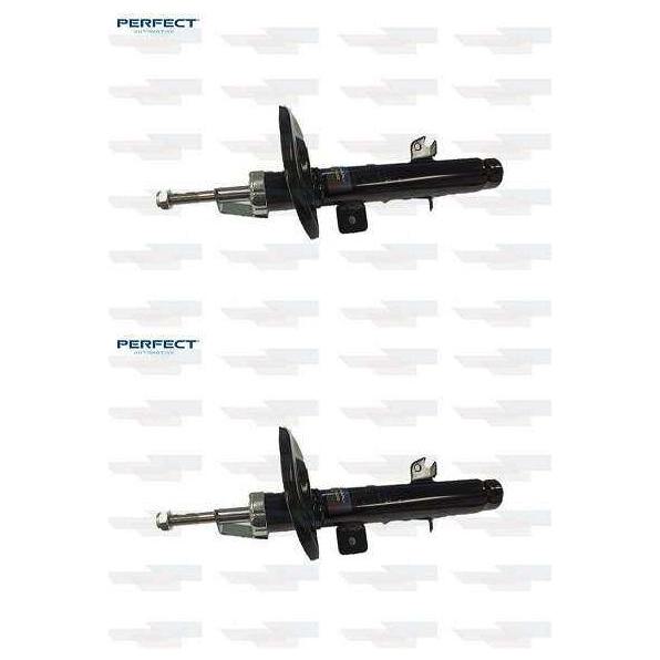 Par de Amortecedor Dianteiro da Suspensão - Perfect - Amd0917 / Amd0918