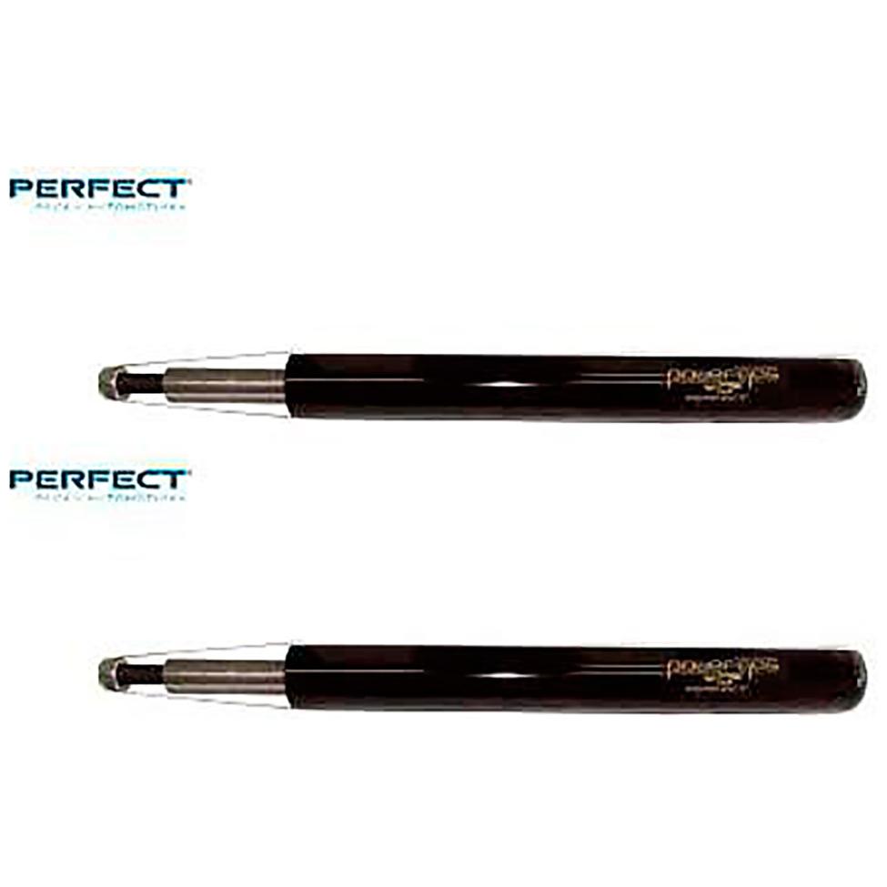 Par de Amortecedor Traseiro da Suspensão - Perfect - AMD36974