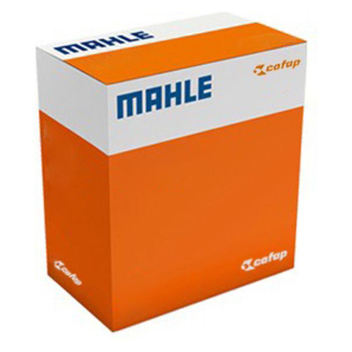 Pistão com Anéis 1,00 para Honda CG 150 e NXR 150 BROS - Mahle Cofap - CO P&A9171 1,00